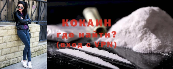дживик Ладушкин