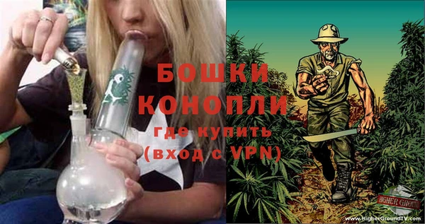 дживик Ладушкин