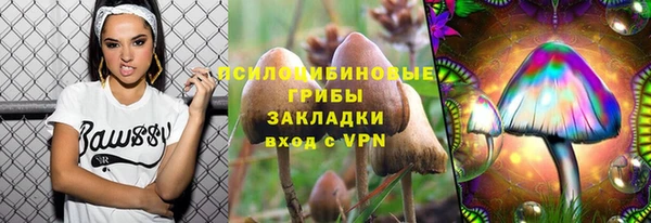 дживик Ладушкин