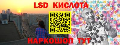PSILOCYBIN Заволжье