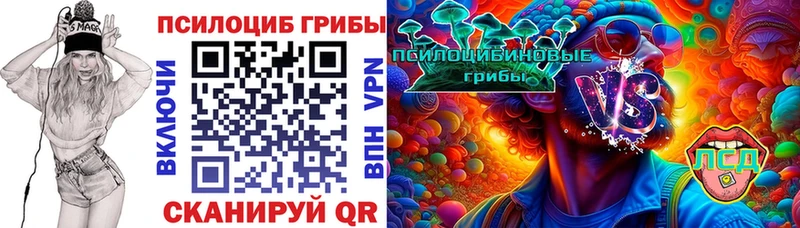 купить закладку  гидра ТОР  Псилоцибиновые грибы Magic Shrooms  Краснознаменск 