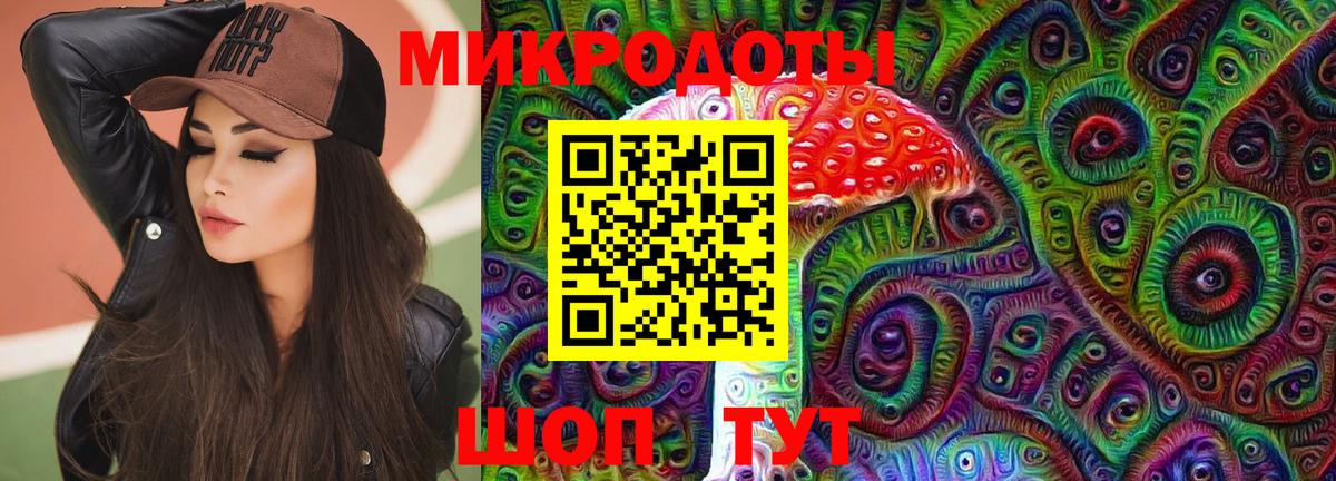 Псилоцибиновые грибы Psilocybine cubensis Краснознаменск