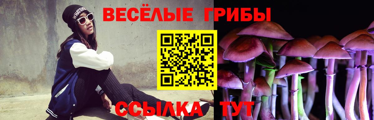 Псилоцибиновые грибы Cubensis Краснознаменск